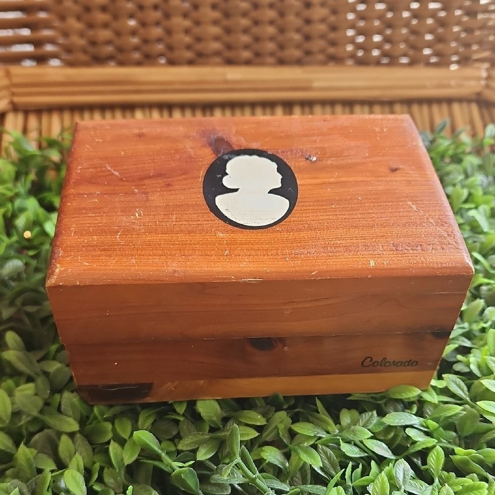 Vintage Cedar Cameo Accented Colorado Souvenir Wooden Box